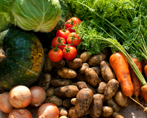 地元生産者の農産物