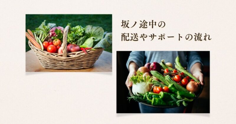 sakano-tochu-delivery-process